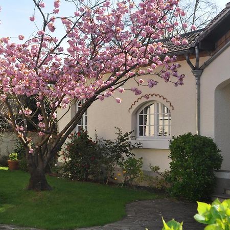 Maison d'hôtes Paris Riverside Saint-Maur-des-Fossés Exterior foto